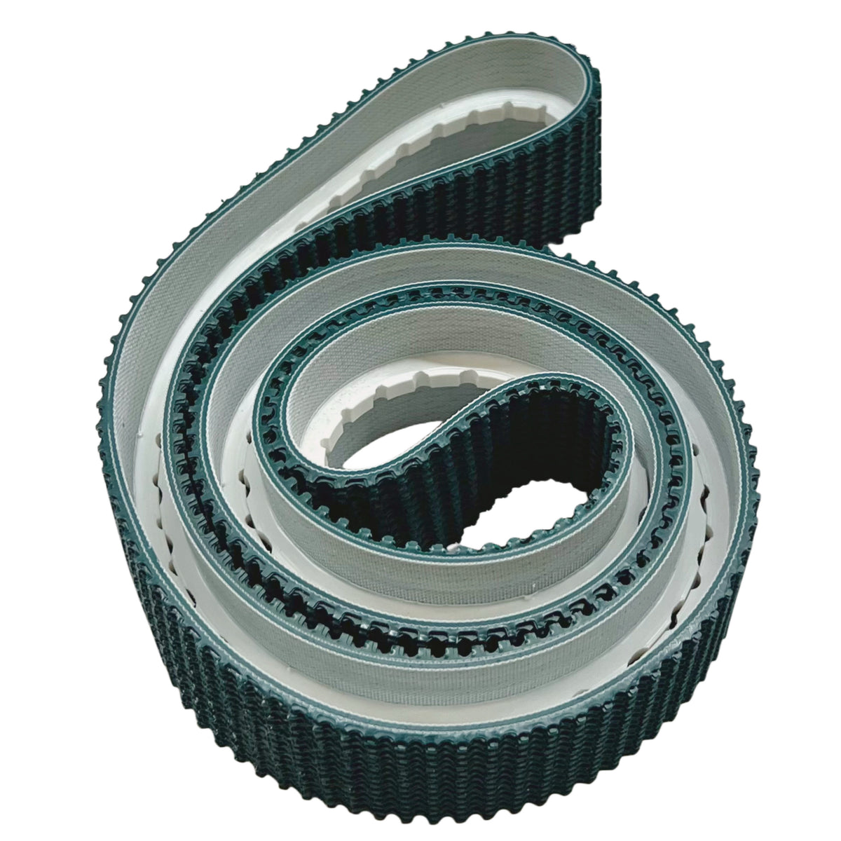 300800